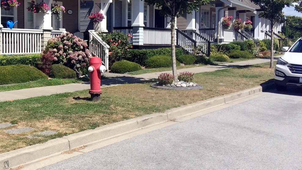 Clear ‘no parking zones’ around hydrants, solve Metro Vancouver’s parking woes: fire chiefs - image