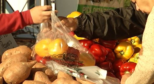 Allegations of missing money at the Peterborough Farmers Market have been proven false by an audit.