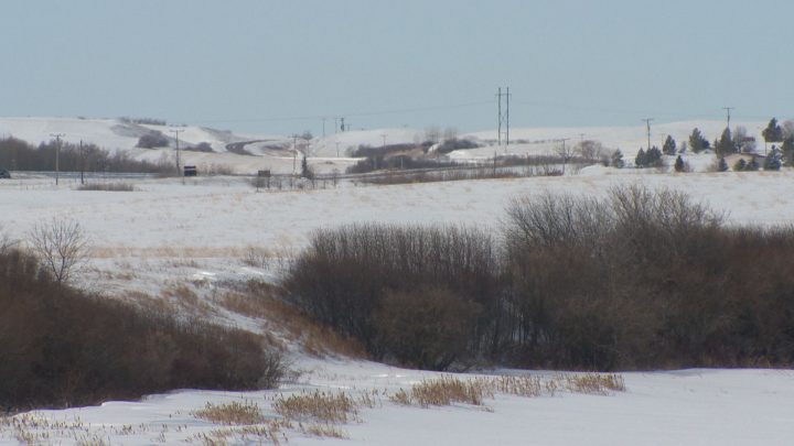 Saskatchewan RCMP to hold town halls to discuss rural crime concerns - image
