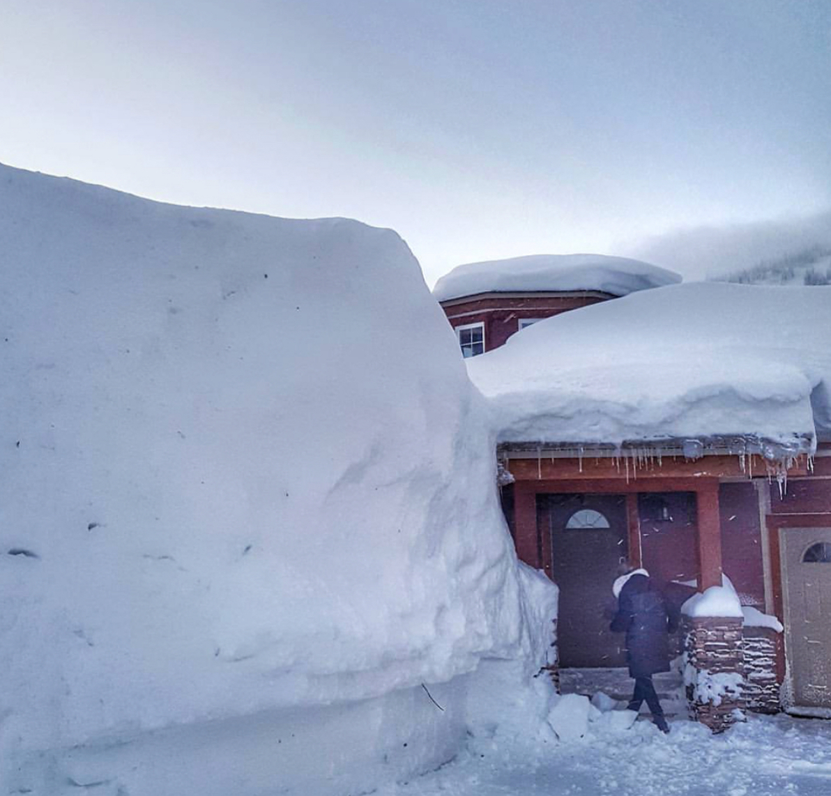 Silver Star celebrating snowiest season in nearly seven decades - image