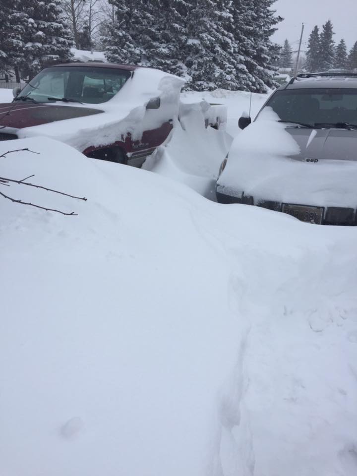 Fort St. John receives almost as much snow in 24 hours as the average for all of March - image