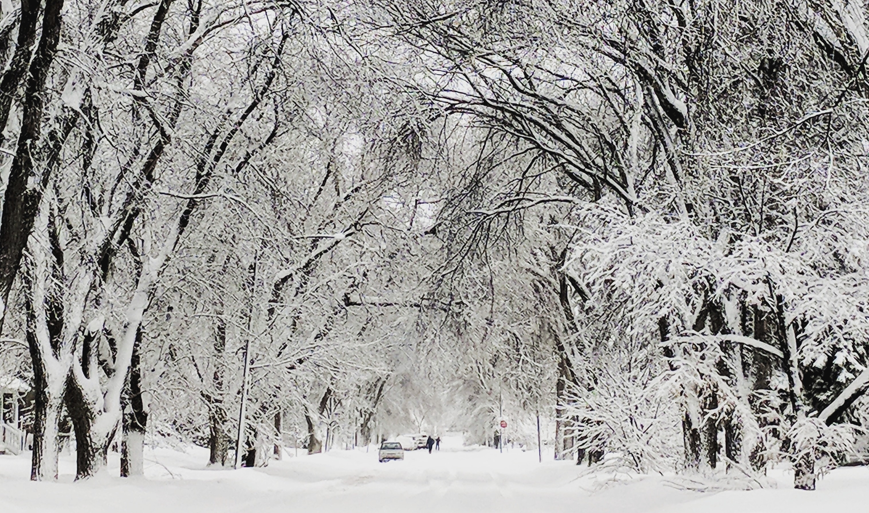 Looking back at winter 2017-18 in Winnipeg - Winnipeg | Globalnews.ca