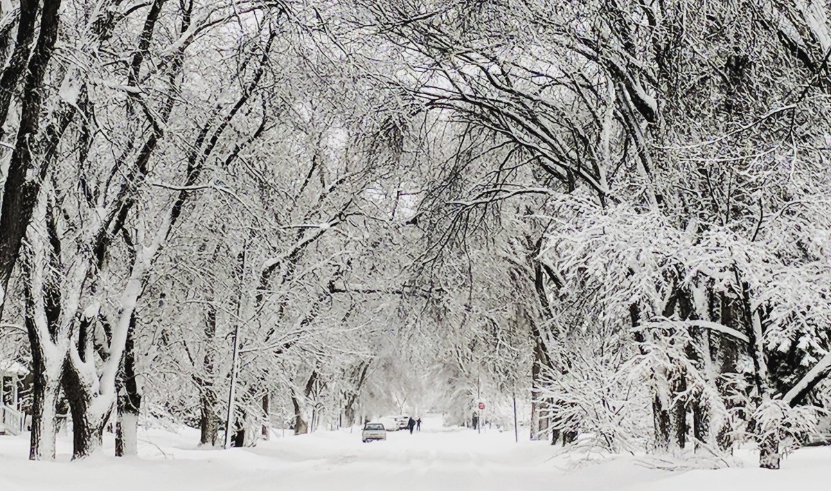 Winnipeg covered in snow after major snowstorm in early March, 2018.