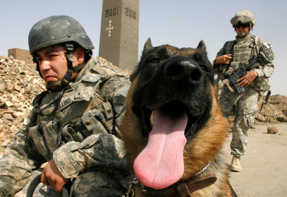 FILE PHOTO: U.S. soldiers with the 3rd Heavy Brigade Combat Team 3-1 CAV take a break with their explosives sniffer dog during a major search operation for weapons and insurgents, in a brickyard near the city of Narhwan, about 30km (18 miles) west of Baghdad October 12, 2007.     REUTERS/Fabrizio Bensch/File Photo.