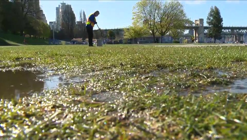 Vancouver Park Board approves new three year capital plan to improve city parks, facilities - image