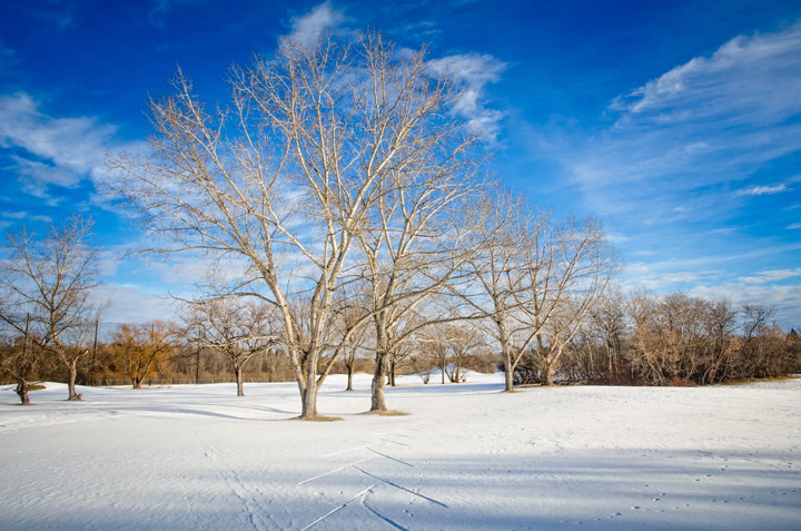 The April 30 Your Saskatchewan photo was taken by Kneale Quayle in Saskatoon.