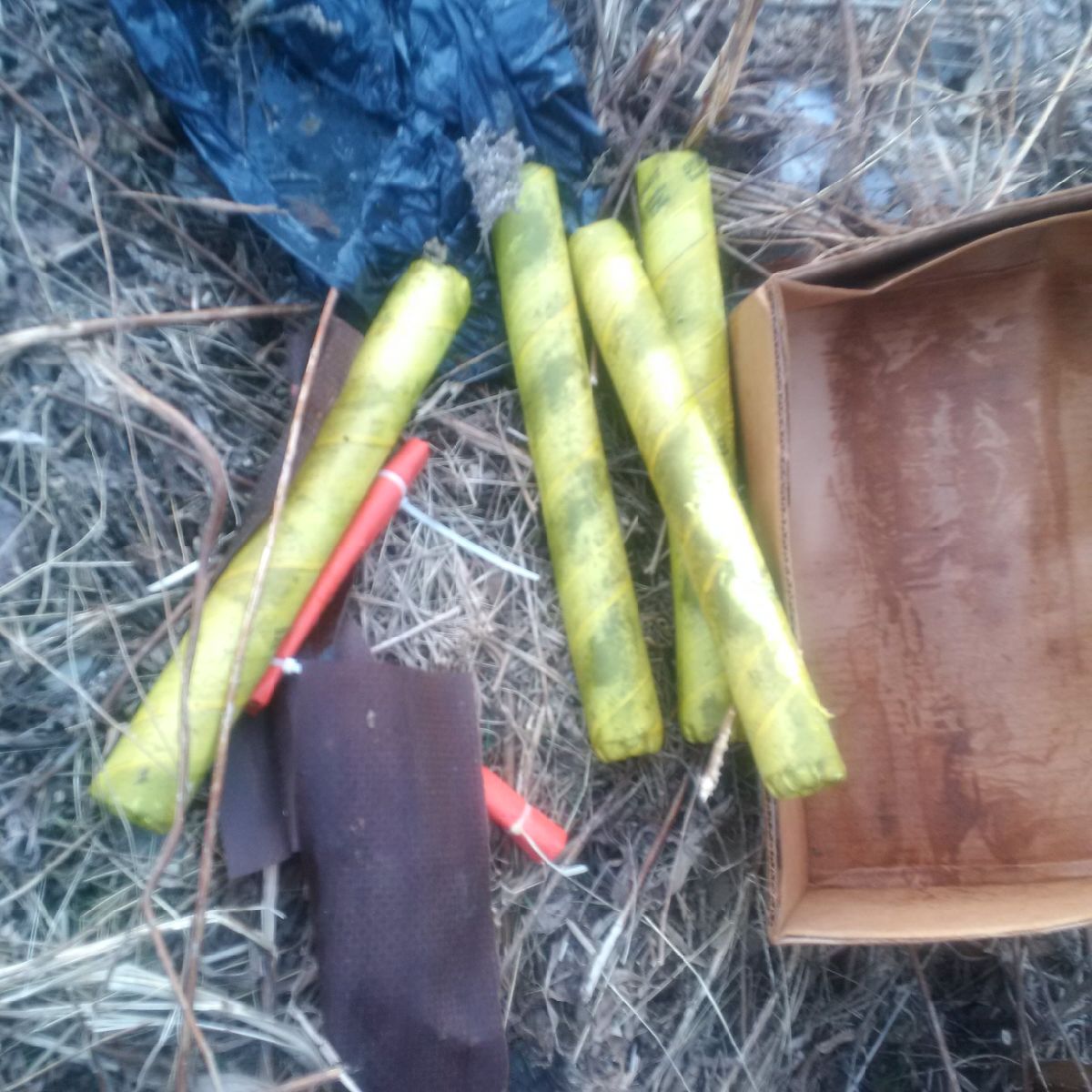 The box of explosives was discovered in a vacant lot in the small town .