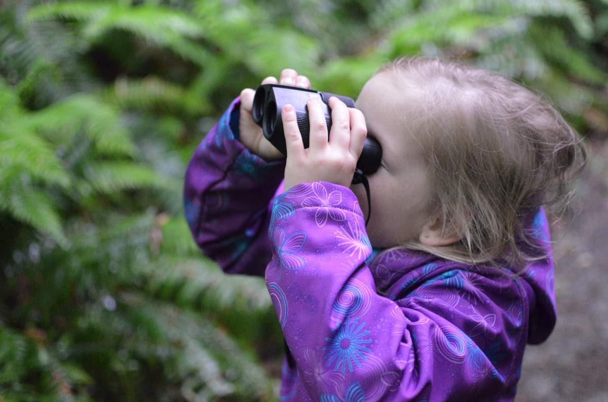 Surrey Environmental Extravaganza - image