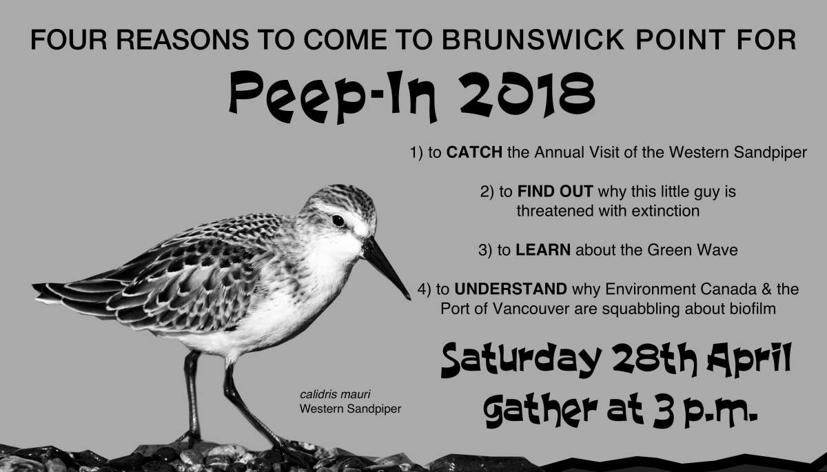 Peep-In 2018 - image