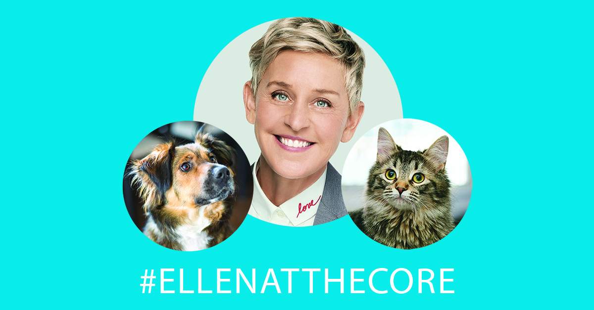 Ellen-Inspired Heads Up! Tournament at The CORE Shopping Centre - image