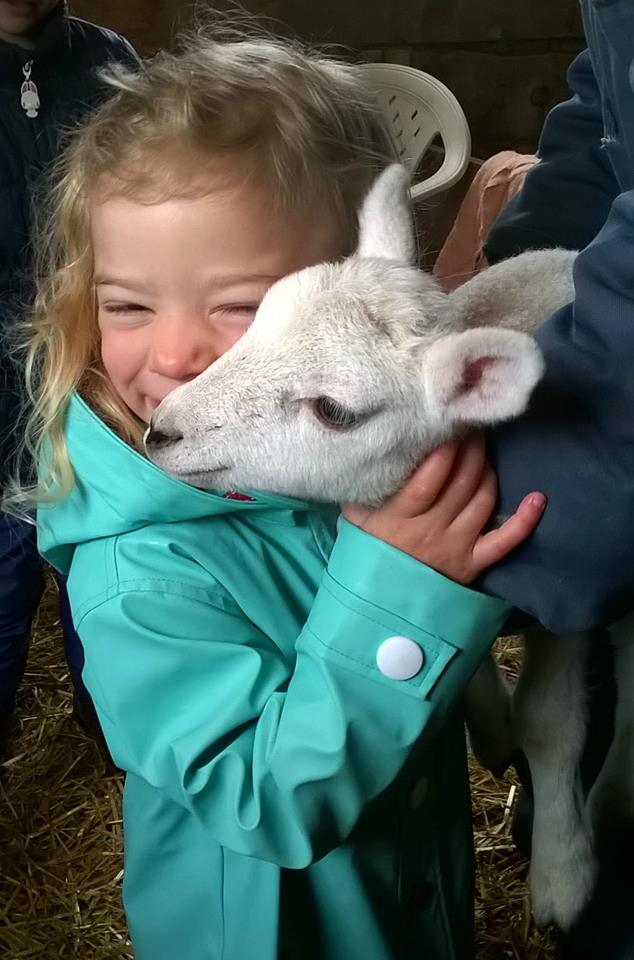 Nurture Baby Lambs - image