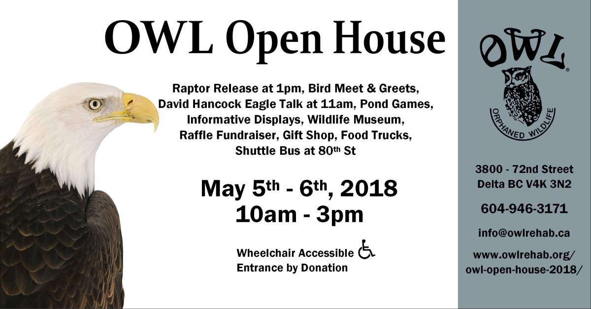 O.W.L.Orphaned Wildlife Rehabilitation Society Open House 2018 - image