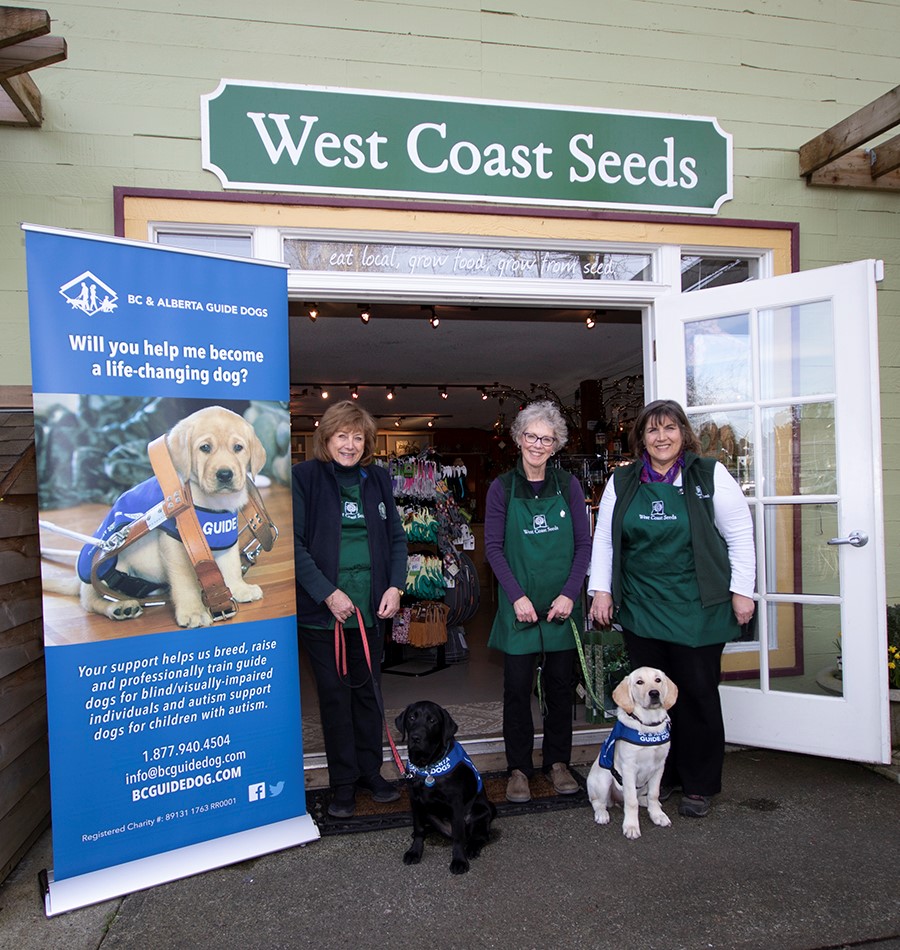 West Coast Seeds / BC & Alberta Guide Dogs Tomato Seedling Sale - image