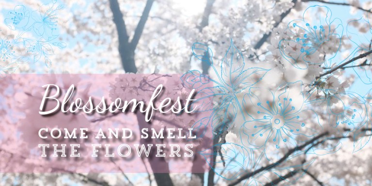Blossomfest – Taves Family Farm - image