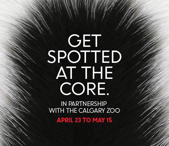 Get Spotted at The CORE - image