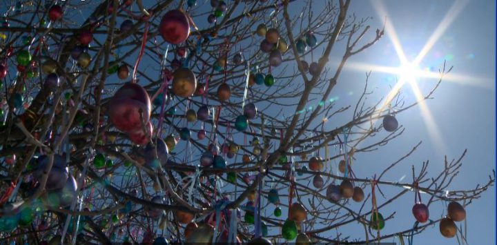 Aberdeen’s Easter Miracle Tree creates miracles year-round - Saskatoon  Globalnews.ca