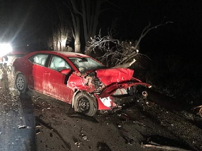 Man charged after disobeying road closed sign, hitting tree: Huron County OPP - image