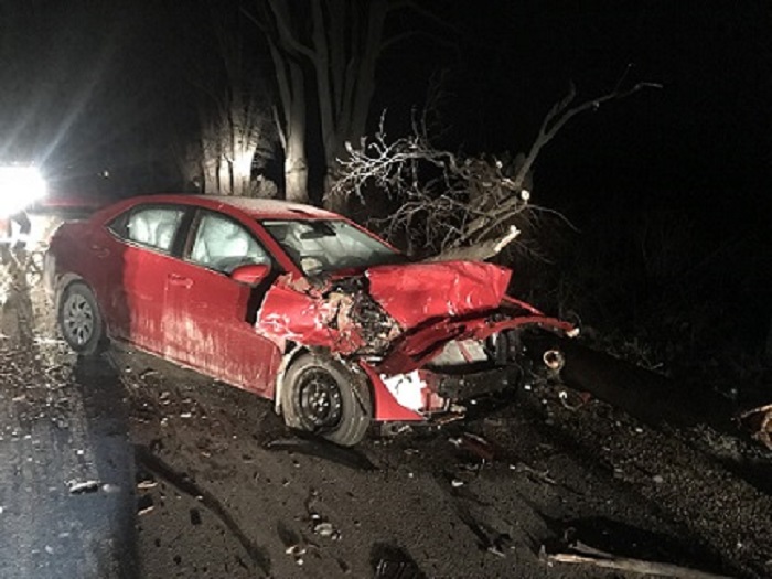 Man charged after disobeying road closed sign, hitting tree: Huron County OPP - image