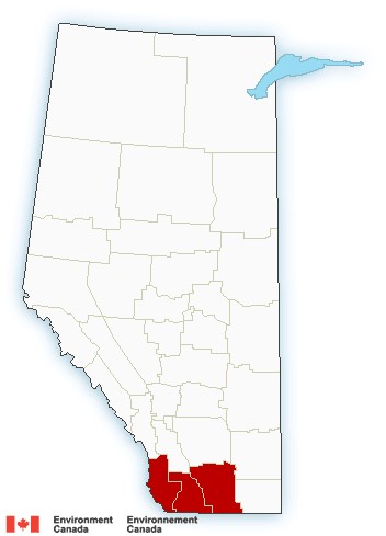 Snowfall warnings were issued for parts of southern Alberta Sunday.