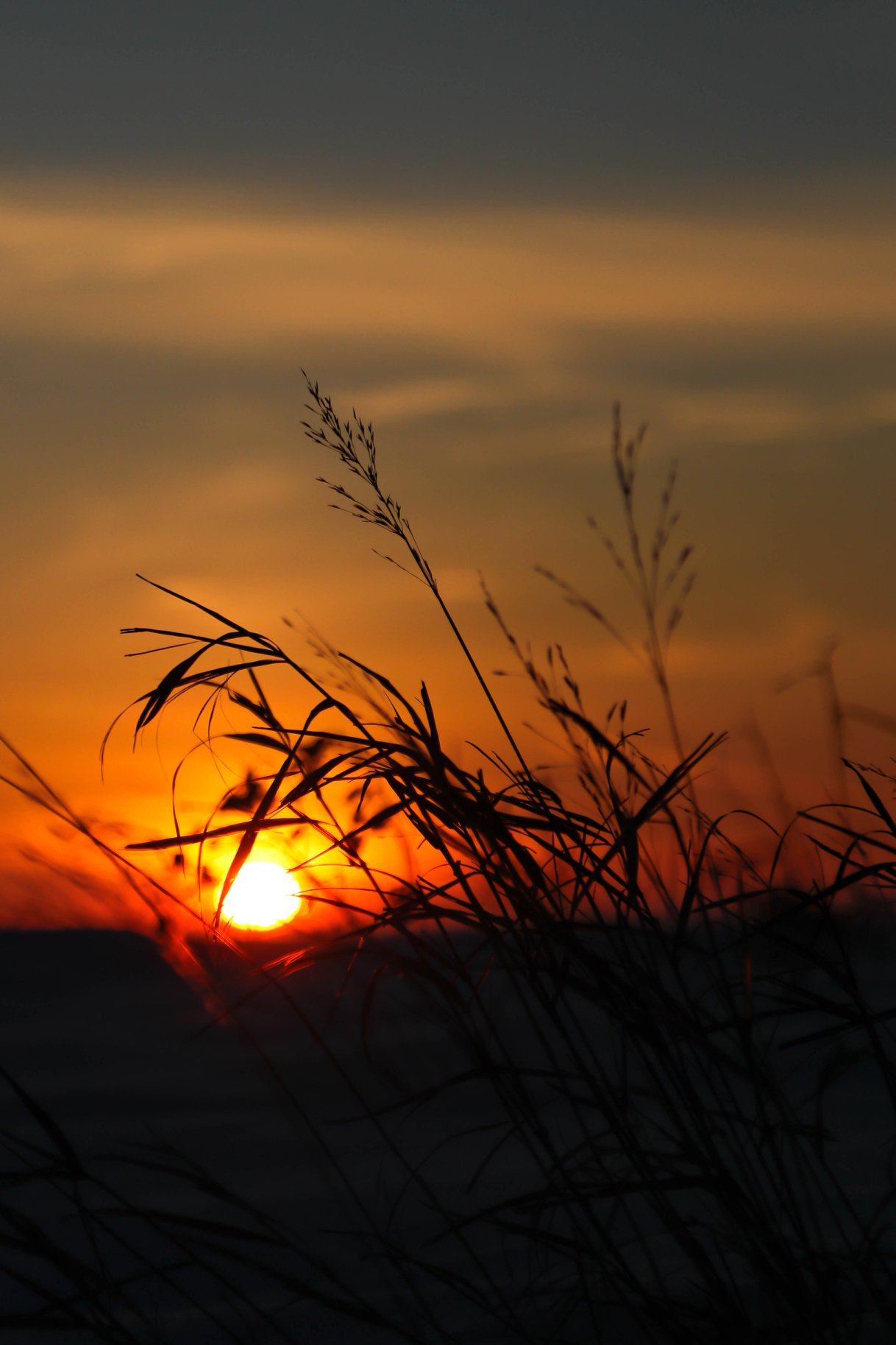 Bill Allen | Globalnews.ca