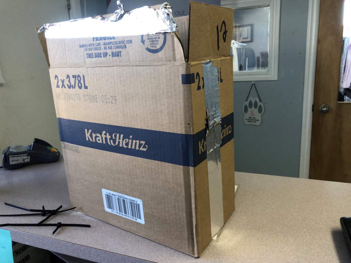 Rosie was found in this box at the bottom of a dumpster, with her legs zip-tied behind her head.