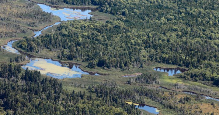 Rising seas: Delays to safeguarding Chignecto Isthmus worry N.S., N.B. politicians