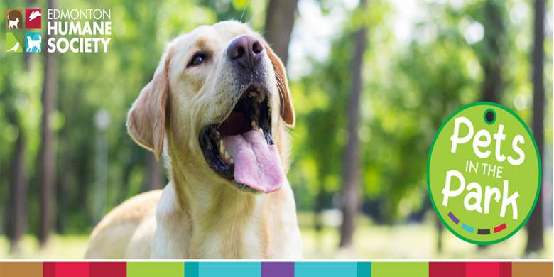 Pets In The Park - image