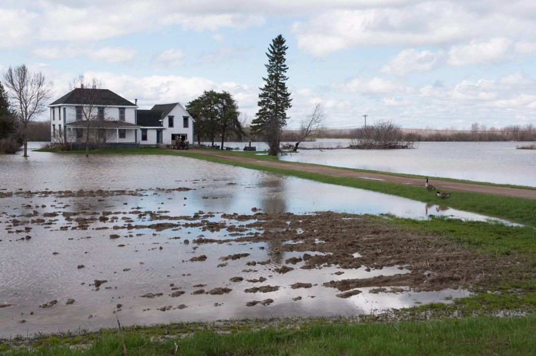 Farmland is flooded and houses are surrounded by the flood waters of the St. John River in Maugerville south of Fredericton, on Sunday, May 7, 2017. NBEMO is advising people living near the St. John River and its tributaries to remain on alert in the coming days as water levels are near or above flood stage in many regions. 
