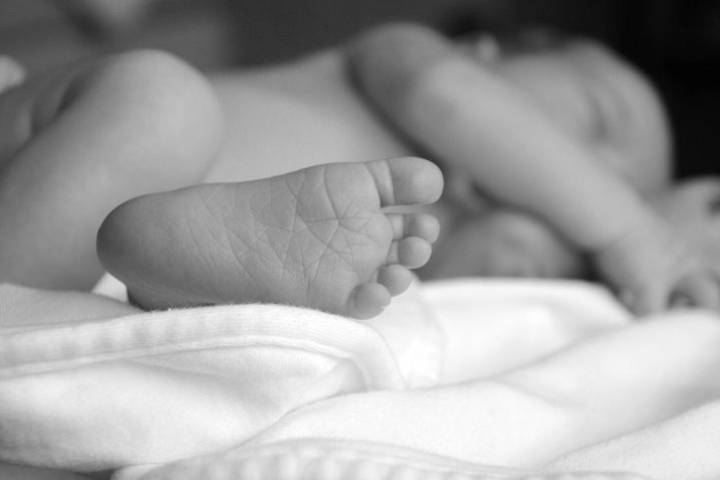 Birth records related to adoptions are now available in New Brunswick.