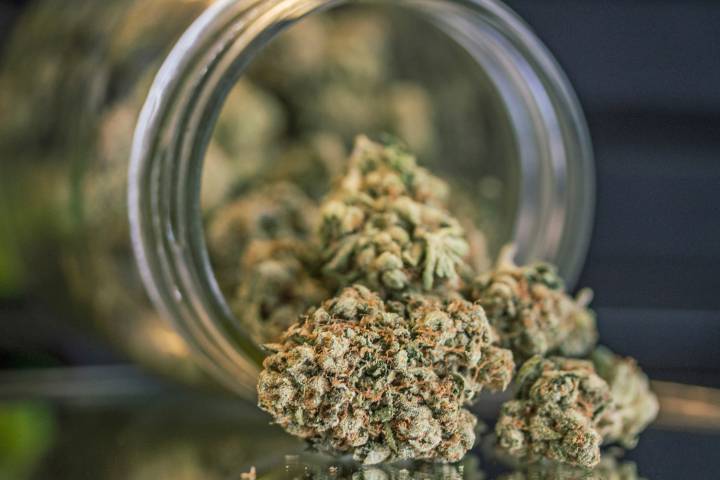 The Federation of Canadian Municipalities have created a guide to help municipalities with marijuana legalization. 