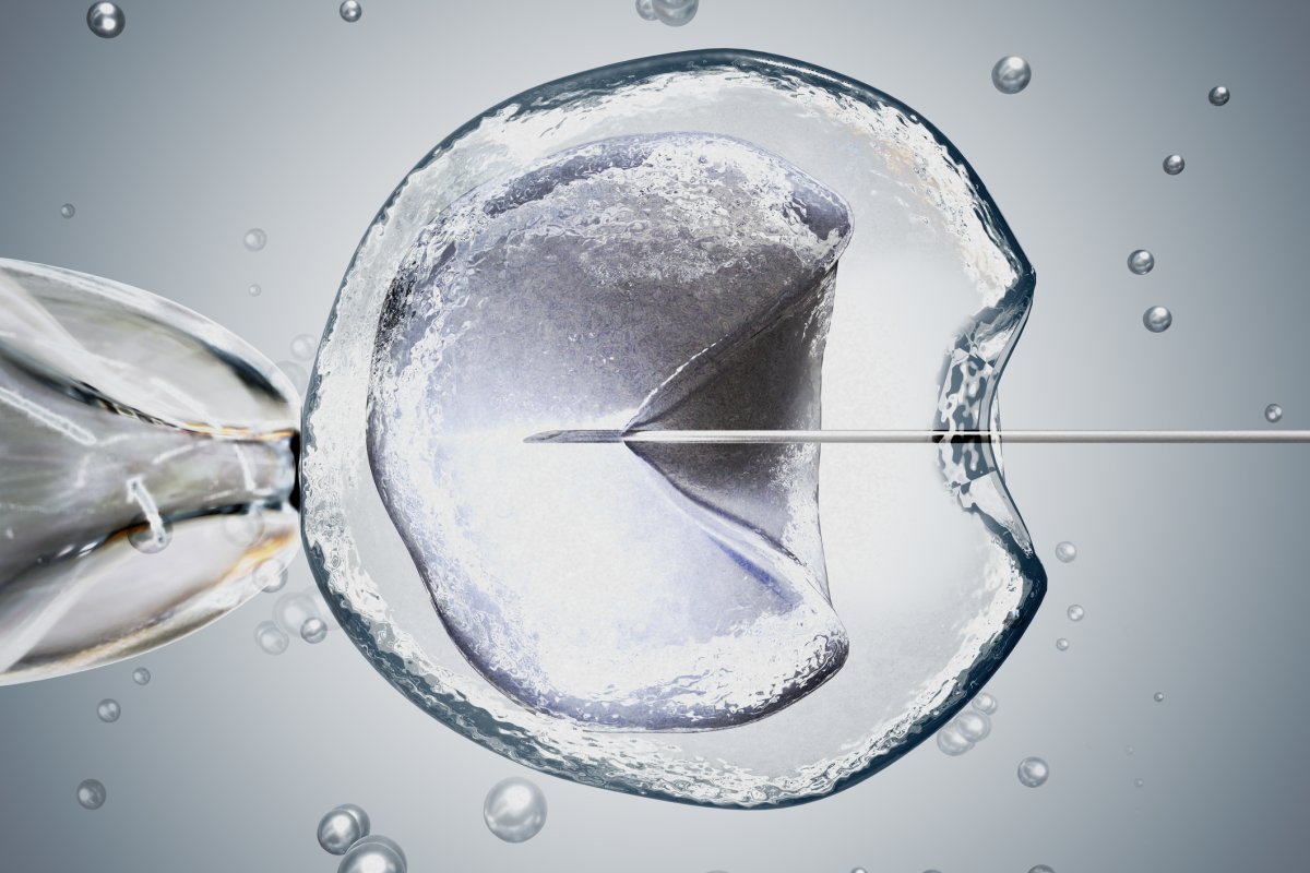 Laboratory microscopic research of IVF (in vitro fertilization). 3D rendered illustration.
