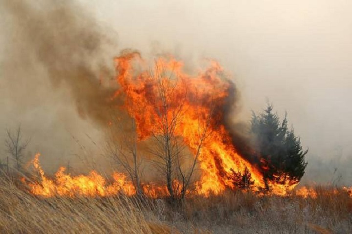 A grass fire burns north of Dugald Road, east of Lagimodiere.