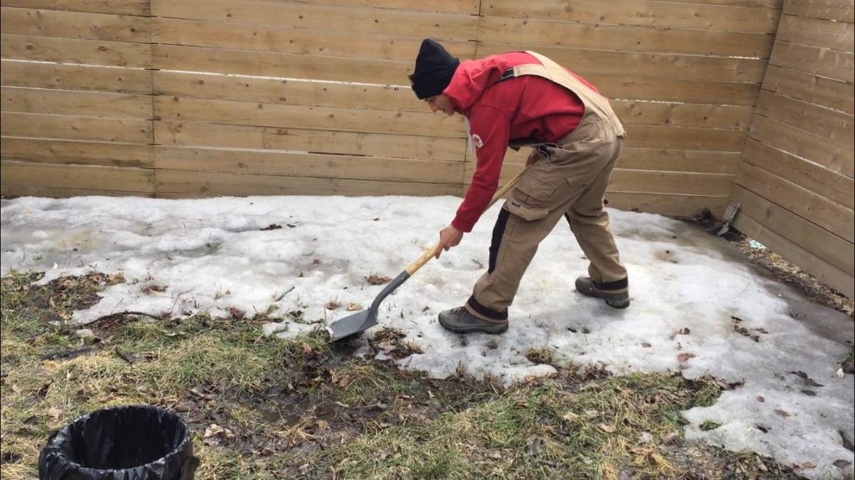 Quinn Sklepowich hard at work at his job as a poop scooper for Poo Crew.