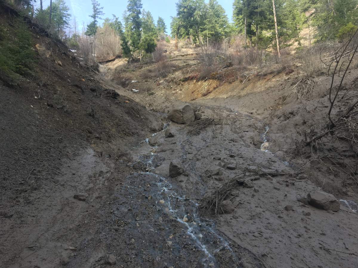 Okanagan mudslide misses home, wipes out shed - image