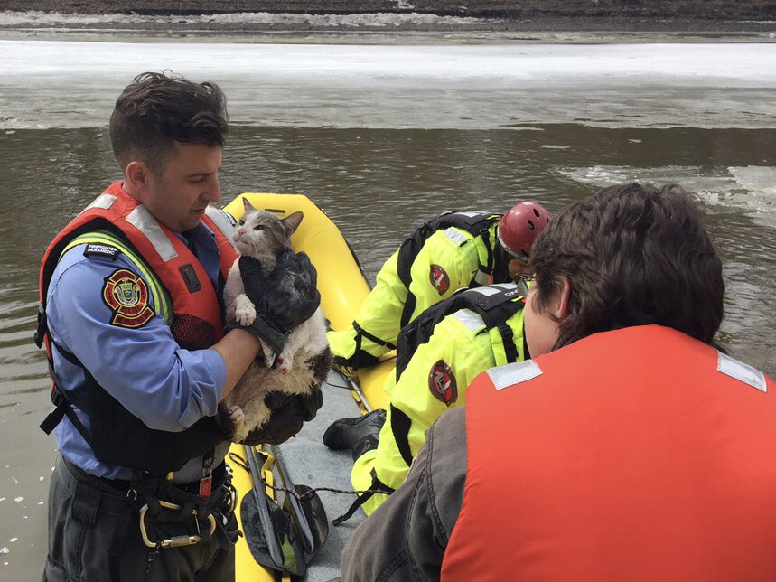 Winnipeg firefighters successfully rescued a cat from an ice floe Thursday.