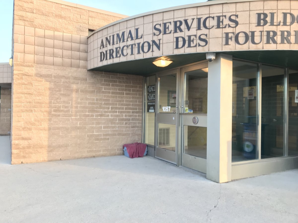 Winnipeg Animal Services has seized the suspect's dog.