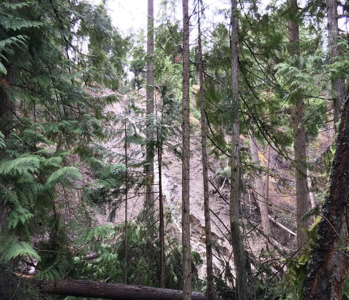 Part of Mission Creek Greenway has been closed due to washouts. 