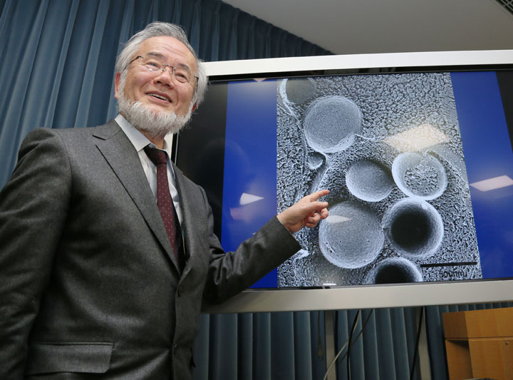 This photo taken on March 25, 2015 shows Japanese scientist Yoshinori Ohsumi speaking during a press conference at the Ministry Of Education in Tokyo. Yoshinori Ohsumi of Japan on October 3, 2016 won the Nobel Medicine Prize for his work on autophagy -- a process whereby cells 'eat themselves' -- which when disrupted can cause Parkinson's and diabetes.