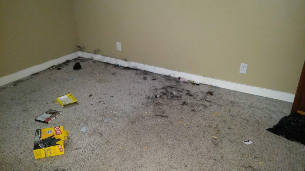 B.C. rules protected ‘nightmare’ renter who trashed home and skipped a year’s rent: landlord - image