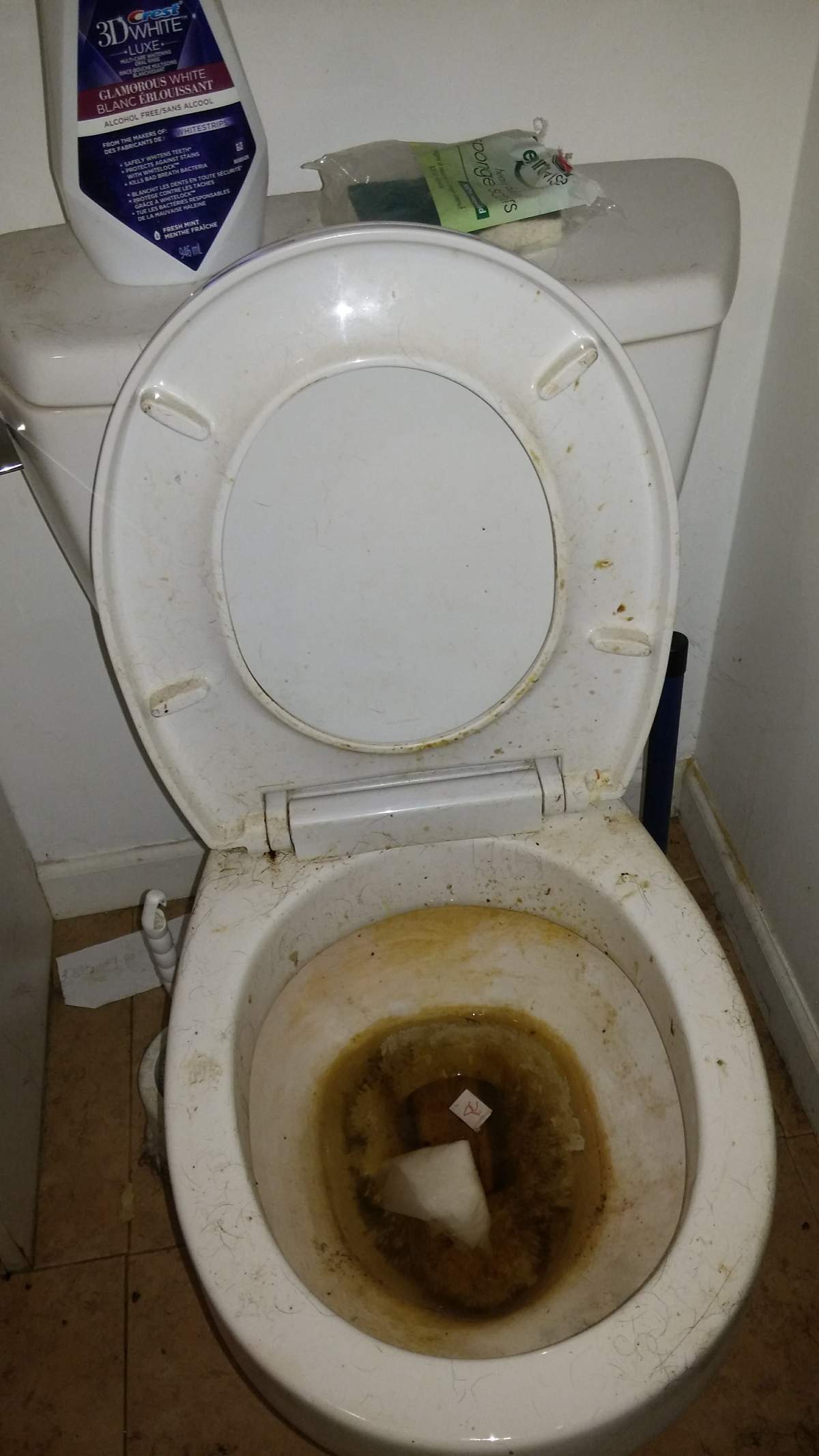 B.C. rules protected ‘nightmare’ renter who trashed home and skipped a year’s rent: landlord - image