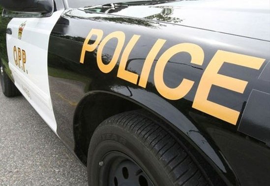 Human remains found along Thames River in Thames Centre, OPP investigate