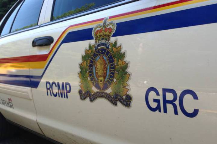 FILE - Five New Brunswick men have been arrested after a lengthy drug investigation.