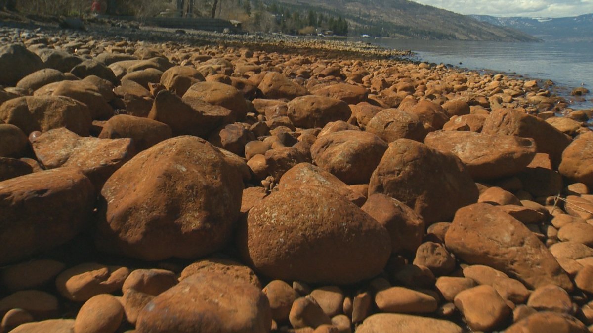 There's no need for concern about orange-tinged rocks on some Kelowna beaches. 