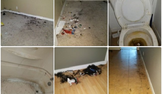 B.C. rules protected ‘nightmare’ renter who trashed home and skipped a ...