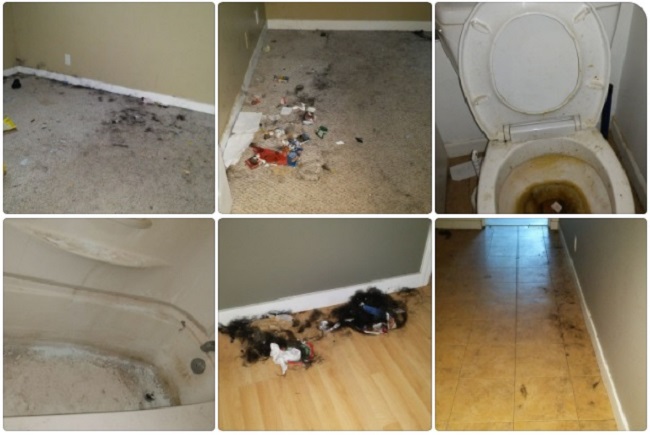 Tabitha Oakley says her tenant last paid rent in 2016, but the Residential Tenancy Act blocked her from forcing him out.