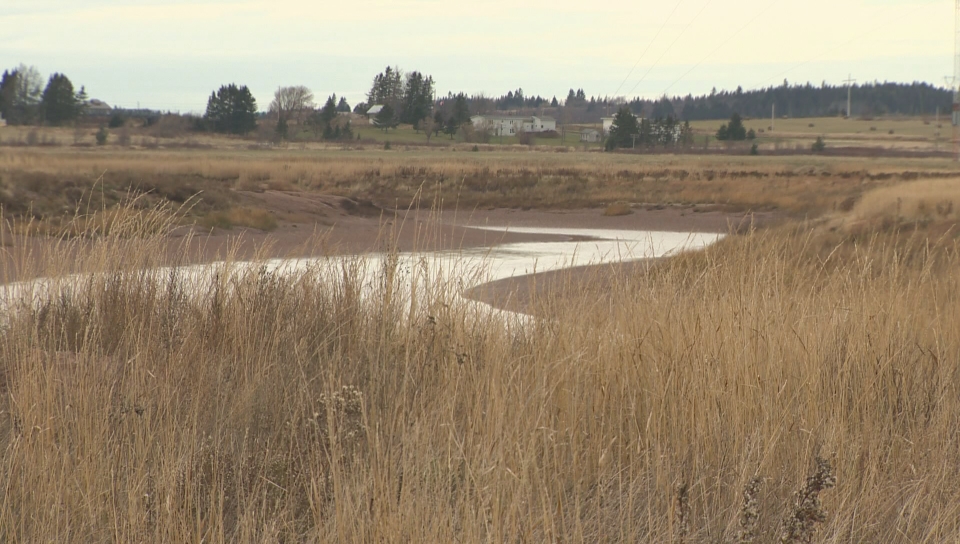 The mayor of Amherst has also raised concerns about the condition of the historic Acadian dikes and their ability to hold back rising sea levels occurring due to climate change.