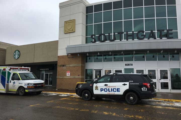 Man receives 6-year sentence in fatal Southgate Centre attack