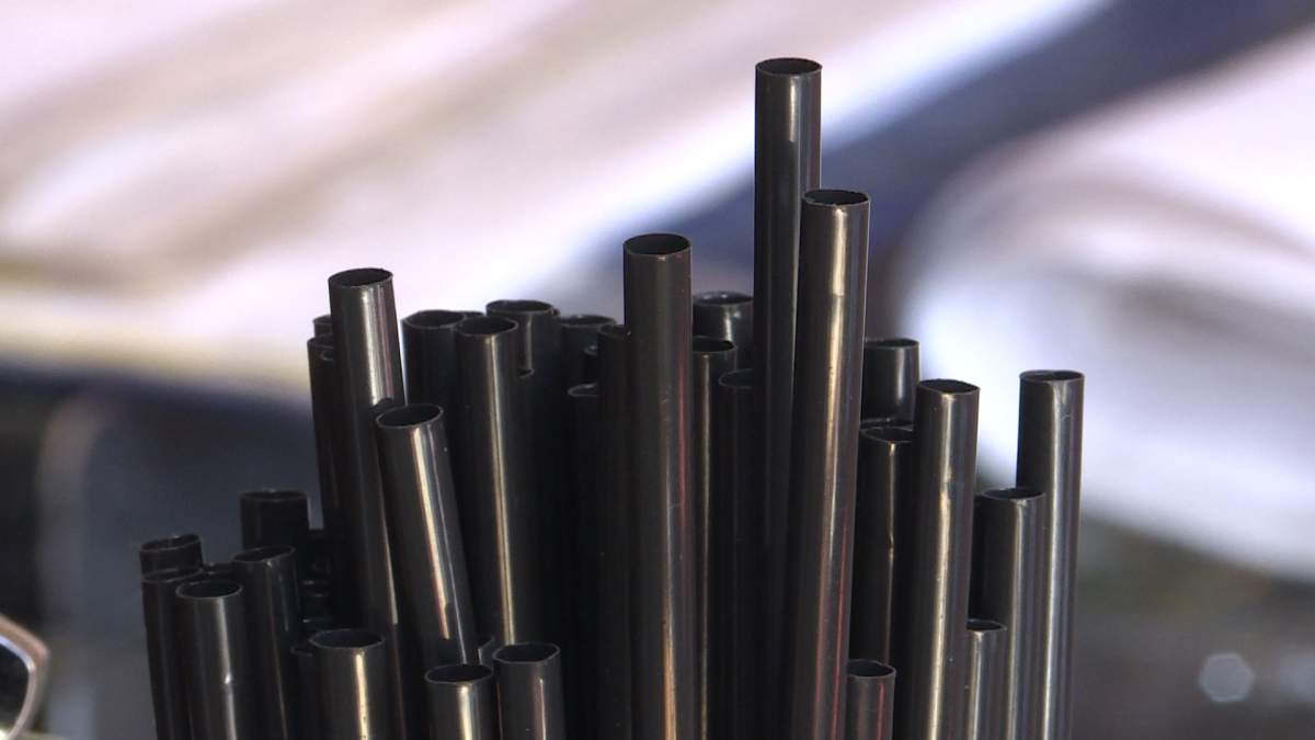 Plant-based straws like these may start showing up in more restaurants.