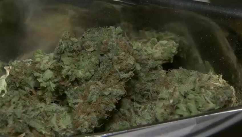 Why marijuana is making people vomit violently, ending up at Saskatoon ERs - image