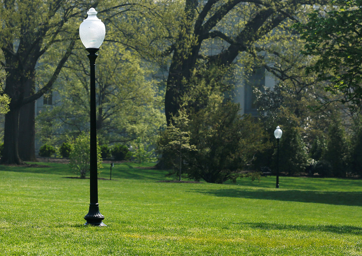 A yellow spot is seen where the tree planted by French President Emmanuel Macron and U.S. President Donald Trump on April 23 stood on the South Lawn of the White House in Washington, U.S., April 28, 2018.